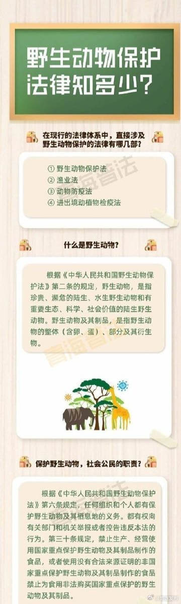 最新野生動物保護法規與小巷深處的綠色秘境探秘,保護行動與獨特小店的獨特故事