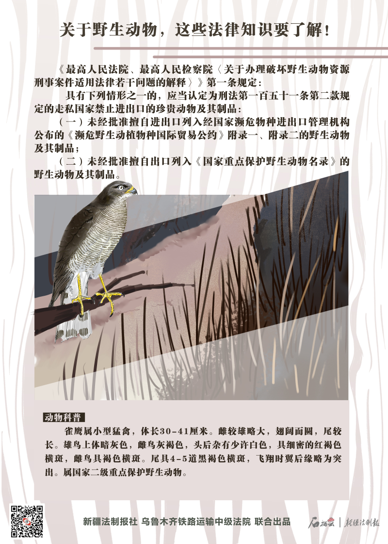 最新野生動物保護法規與小巷深處的綠色秘境探秘,保護行動與獨特小店的獨特故事