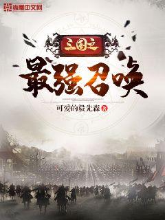 三國之巔峰召喚,英雄集結的烽火歲月最新章節