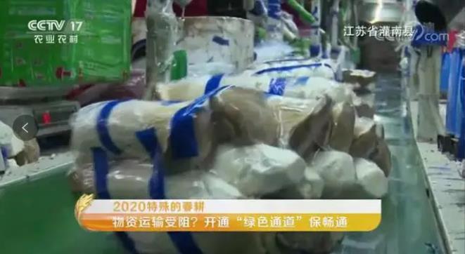 灌南發展深度探討,灌南資訊速遞最新資訊整合