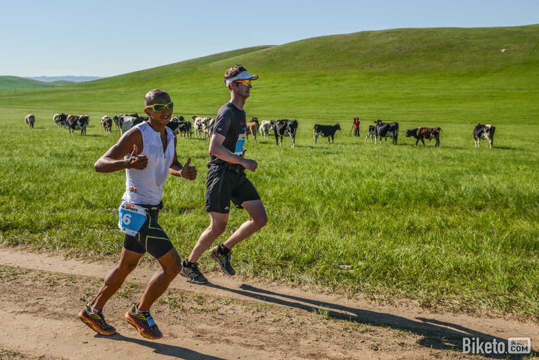鐵木真比賽，小巷中的寶藏，競技盛宴開啟