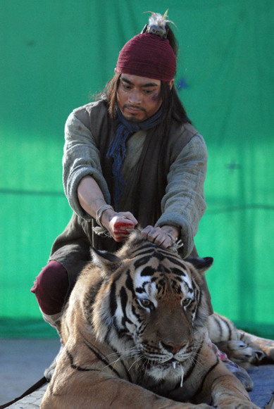 武松2013演員表——探尋自然美景之旅,重塑心靈寧靜與平和之旅