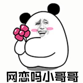 開啟并經營一段網(wǎng)戀關系的實用指南，一步步教你掌握網(wǎng)戀動態(tài)！