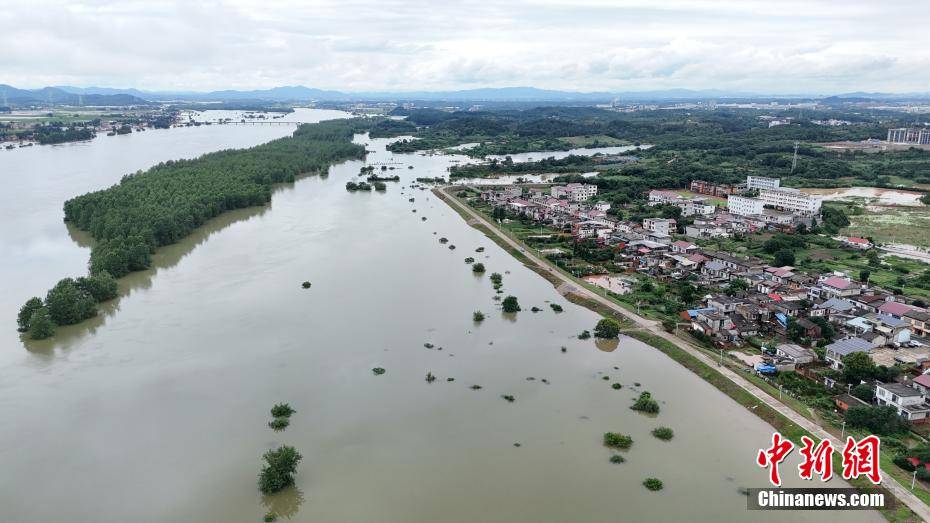 江西永修最新洪水災情更新