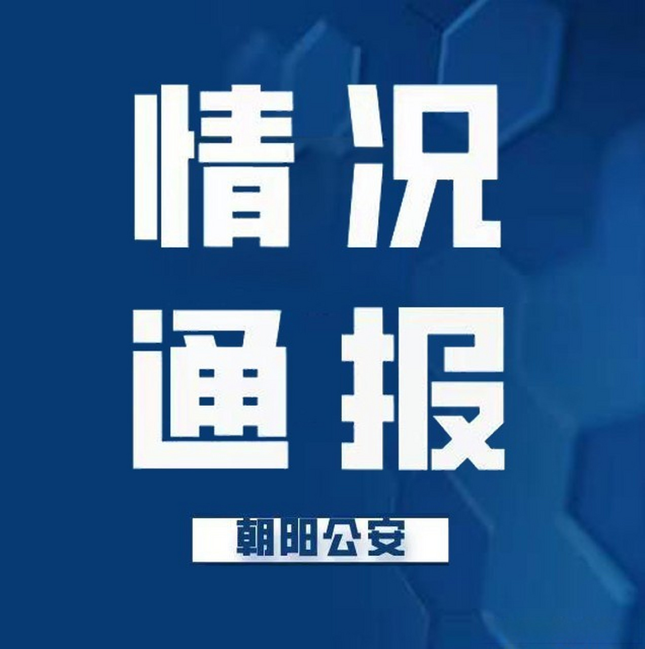 最新動態揭示，平凡日常的溫馨故事