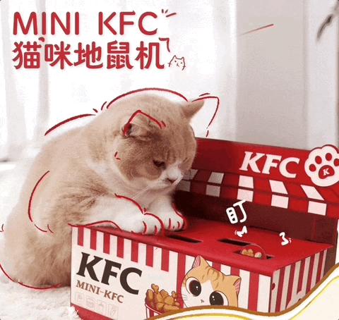 肯德基兒童套餐最新贈品，學習與成長的力量之源