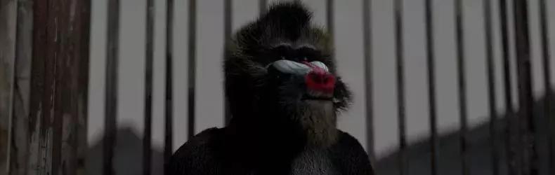 ????法國(guó)動(dòng)漫,浪漫與奇幻的絕妙融合??