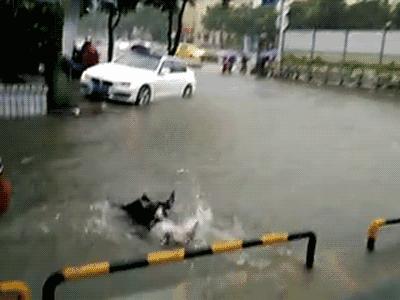 老司機新導航,巷弄深處的隱藏美食寶藏探索