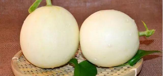 莘縣燕店鎮甜瓜價格，時代甜香記憶的探尋