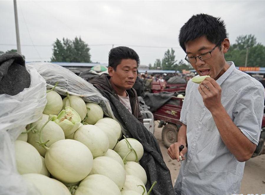 莘縣燕店鎮甜瓜價格,時代甜香記憶的探尋