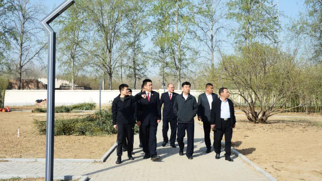 莘縣燕店鎮甜瓜價格,時代甜香記憶的探尋