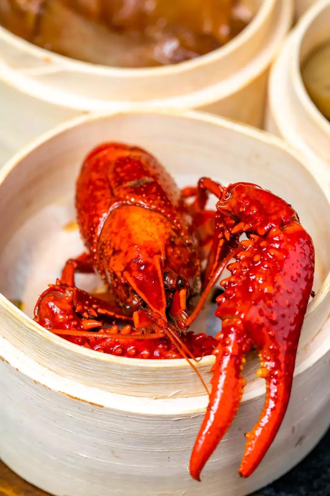 重慶95號汽油最新行情動態及資訊速遞