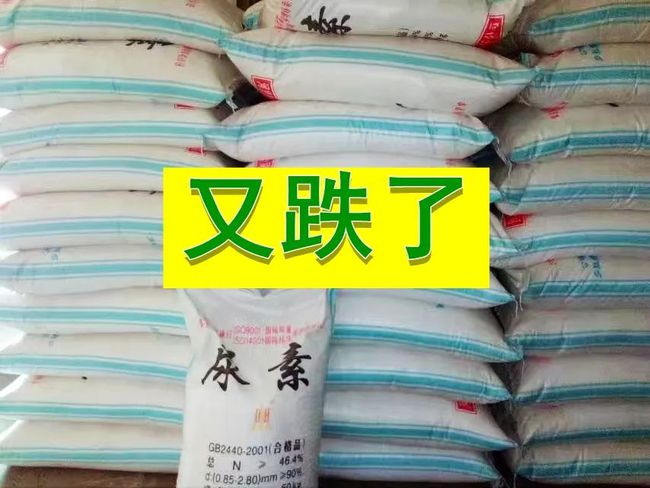 河南尿素今日最新價格更新