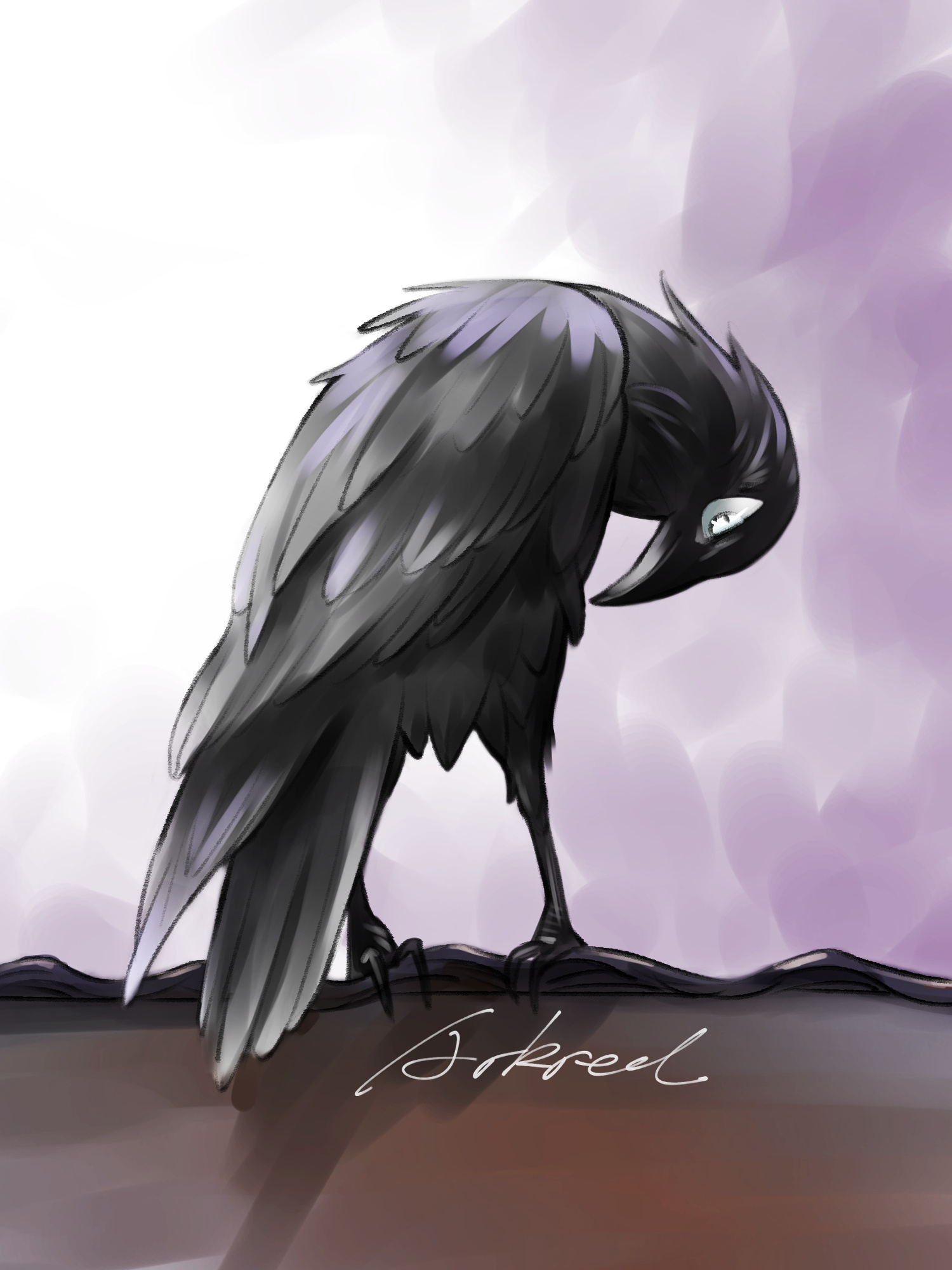 鴉動漫,自信與成長的翅膀之旅