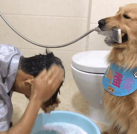 最新手機支架圖片展示，展現你的正能量與獨特風格，學習變化與自信成就