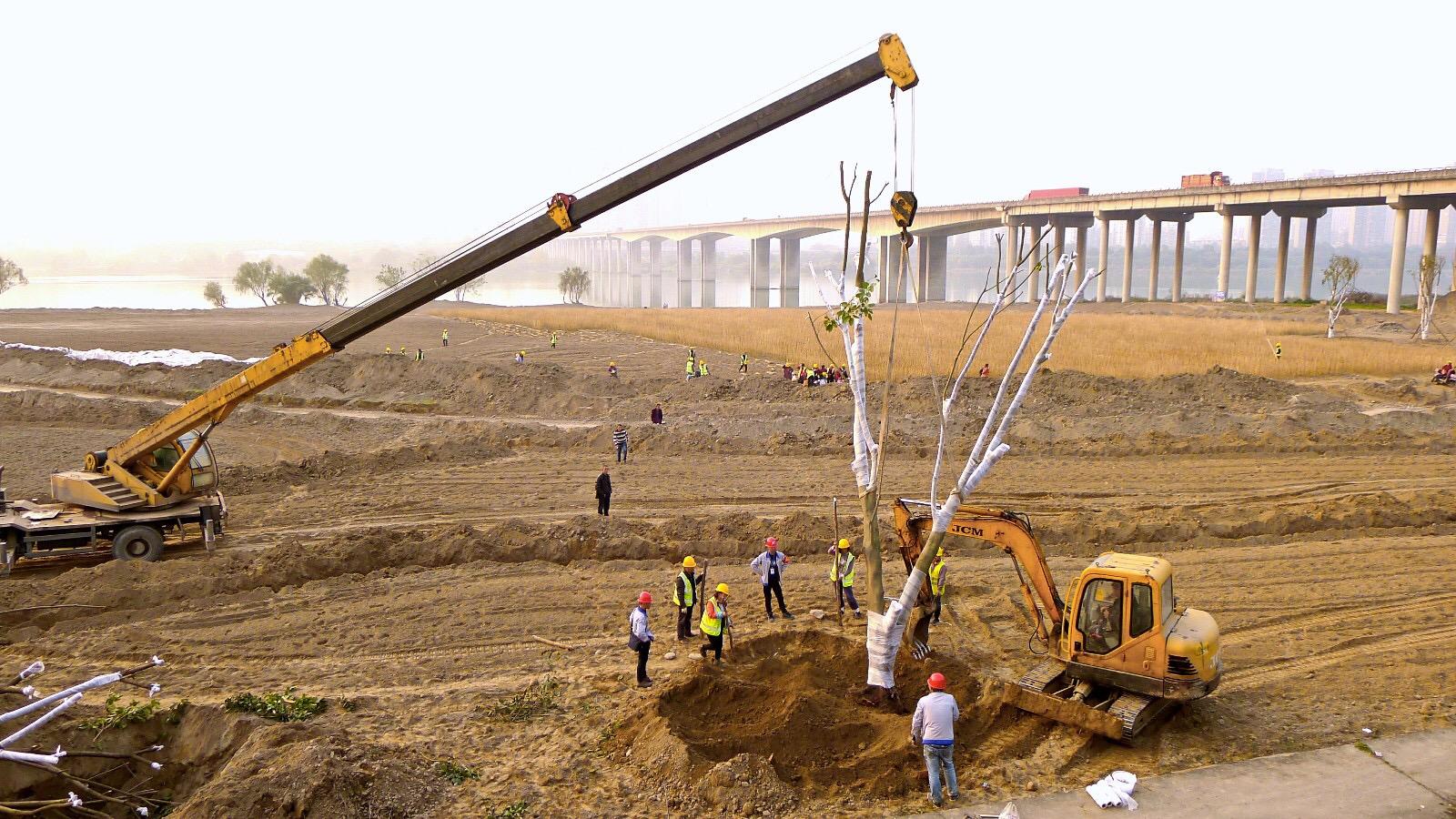 南充下中壩最新建設圖，城市發展的多維視角與深度分析