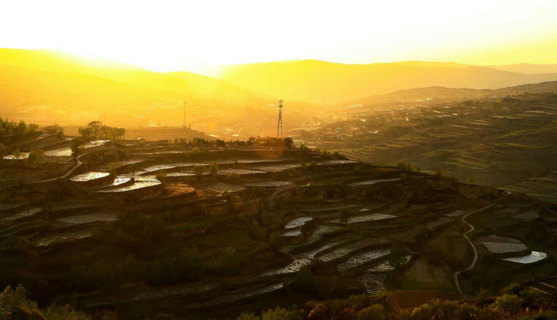 莊浪縣人社局最新留言觀點論述匯總