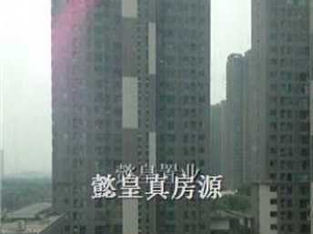 洛陽泉舜房?jī)r(jià)最新動(dòng)態(tài)全面解析，如何獲取與理解房?jī)r(jià)走勢(shì)及最新消息