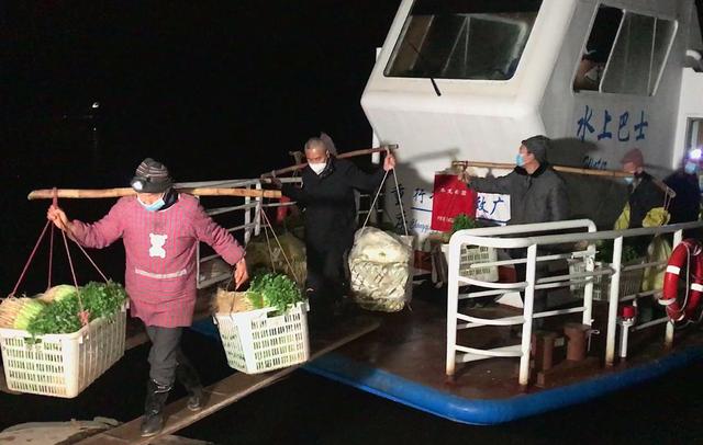 魚洞大中村小巷深處的獨特魅力，特色小店最新消息揭秘