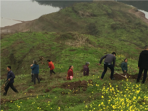 墊江白家鎮科技新浪潮,最新高科技產品介紹與新聞動態速遞