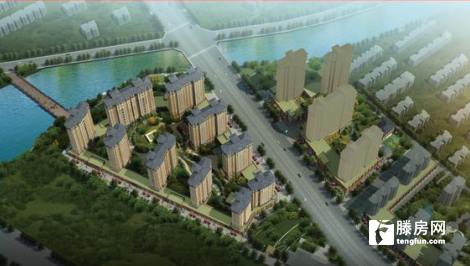 滕州大同國際最新動態更新