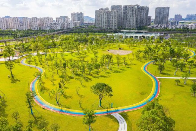 星橋體育公園,活力變革與自我超越之旅的最新動態