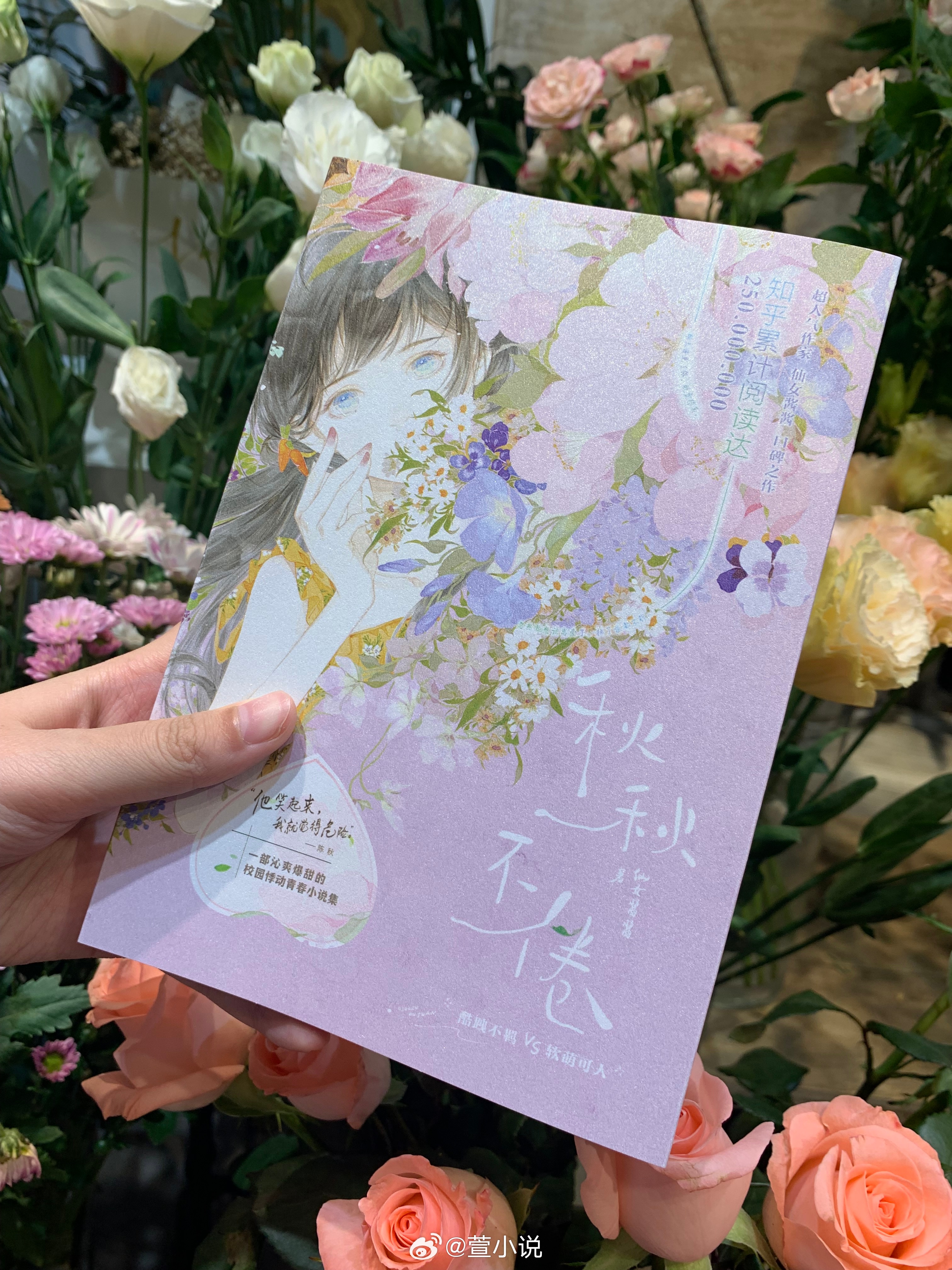 婚不守舍最新章節(jié)沈秋,閱讀指南與技能提升步驟