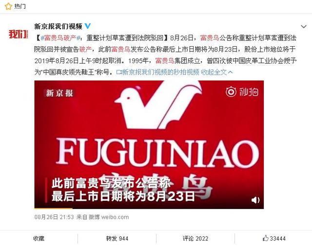 富貴鳥逆境重生，破產背后的力量與變化之美