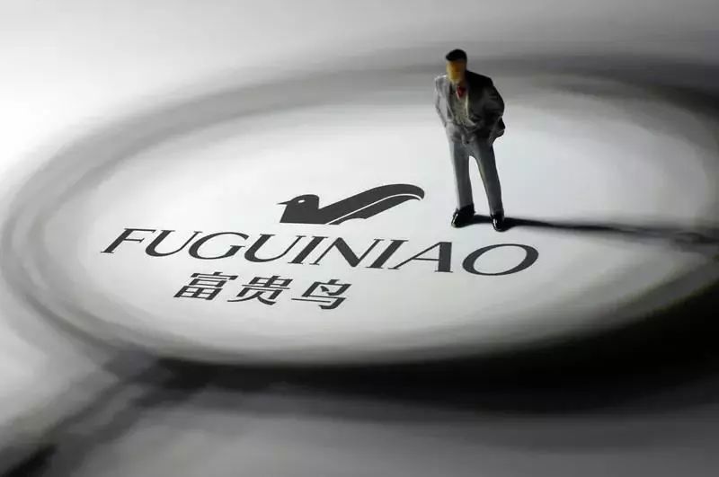 富貴鳥逆境重生,破產背后的力量與變化之美