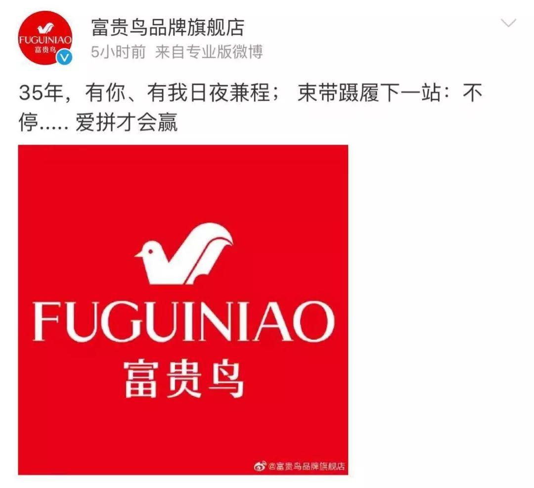 富貴鳥逆境重生,破產背后的力量與變化之美