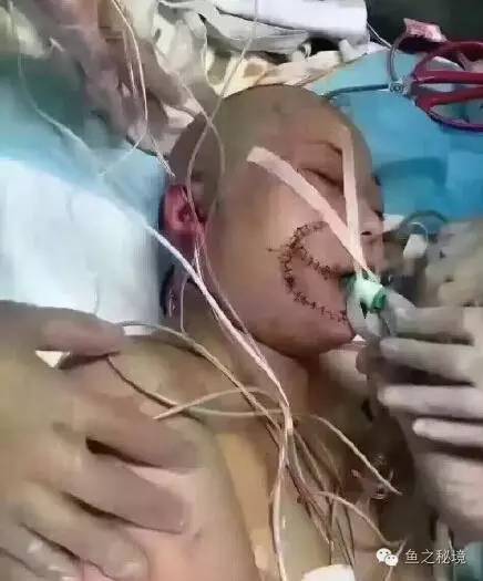 被虎咬的女子的最新消息，日常中的奇遇時(shí)刻