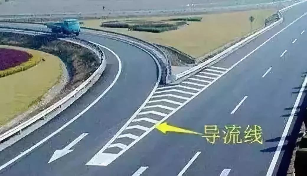 成金青快速路最新動態，日常趣事與情感紐帶揭秘