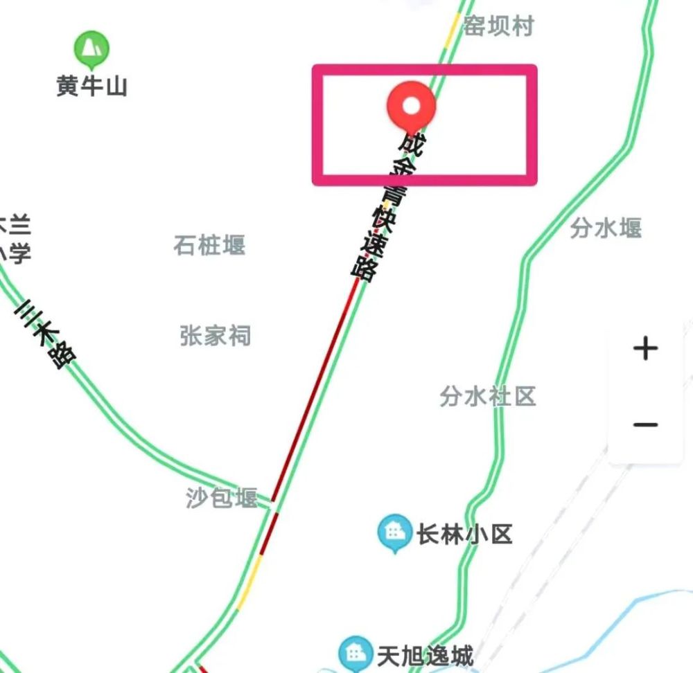 成金青快速路最新動態,日常趣事與情感紐帶揭秘