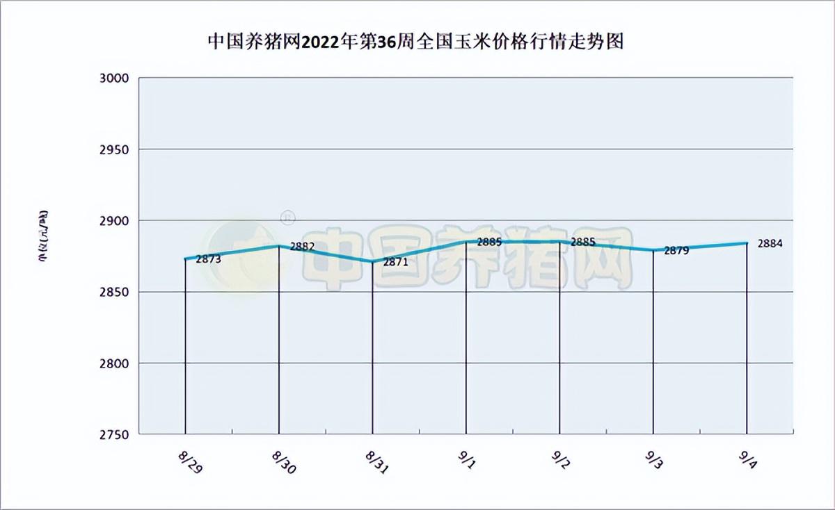 2025最新玉米價格走勢圖解析與步驟指南