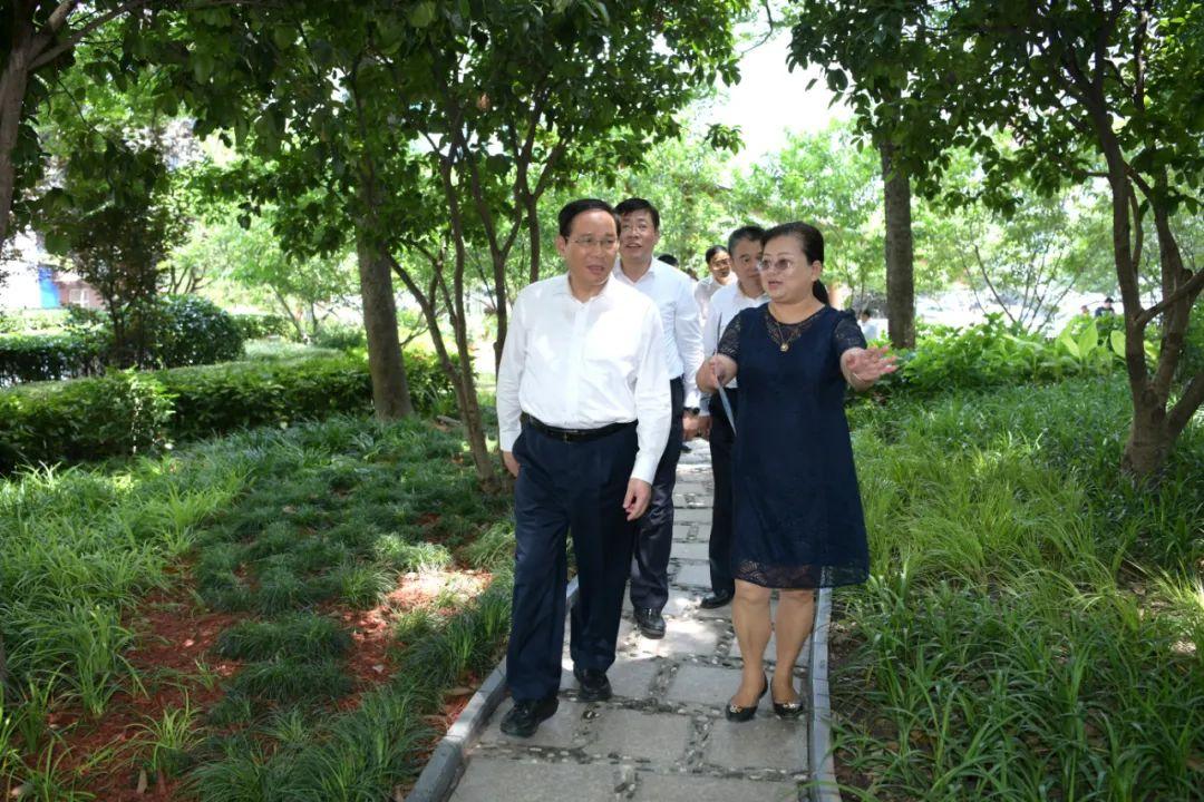 世博文化公園最新動(dòng)態(tài),巷弄深處的驚喜探索