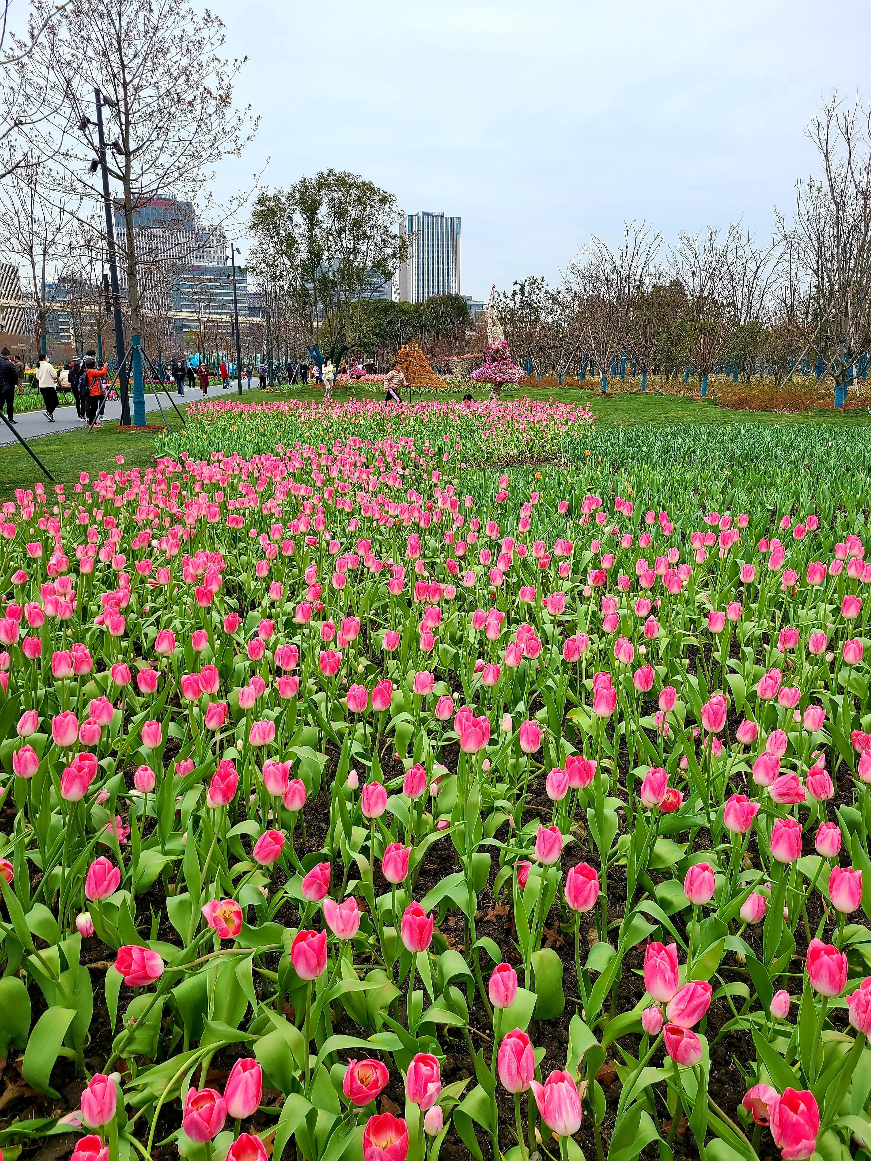 世博文化公園最新動(dòng)態(tài),巷弄深處的驚喜探索