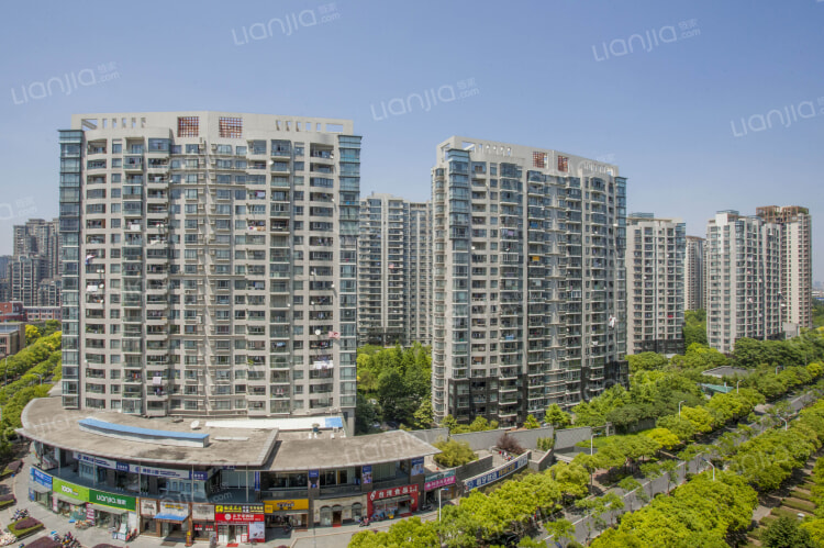 第九城市最新動態,一場城市變革的深度探討