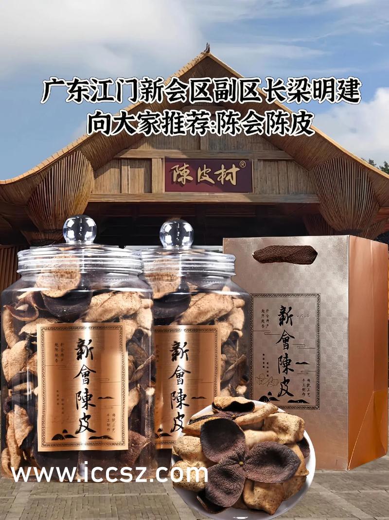 友誼的溫馨日常,蘇洛帝婧小說免費閱讀全文最新章節