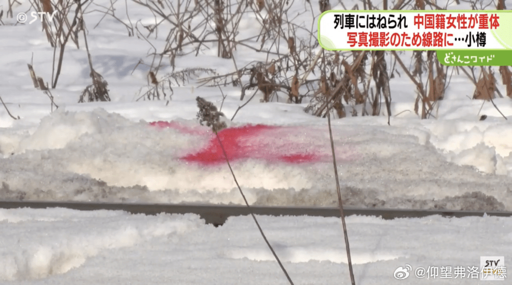 中國女子北海道失聯事件深度分析與觀點闡述,最新進展關注