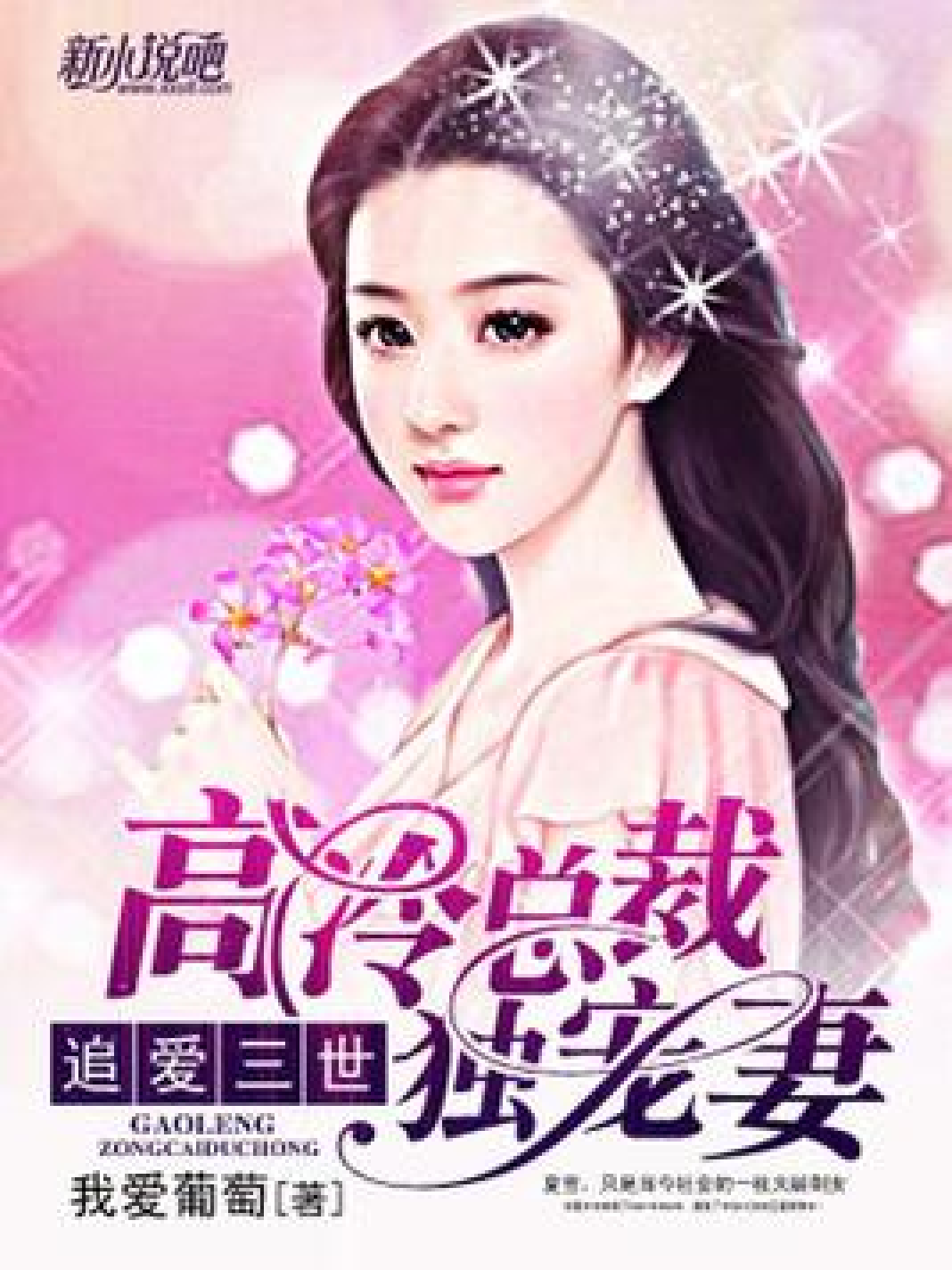 二婚盛寵最新章節列表全覽