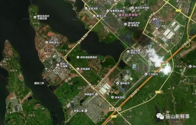 藏龍島二小最新動態揭秘，小巷特色小店探秘之旅