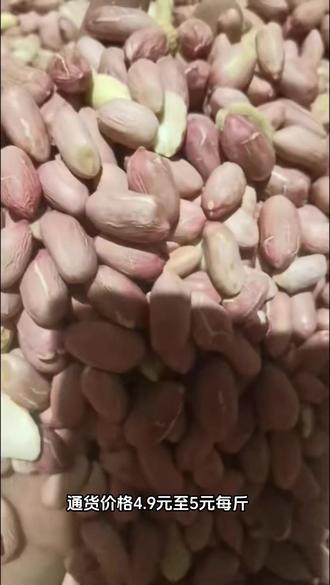 帶殼花生最新批發價格，變化中學習，成就自信與夢想之路