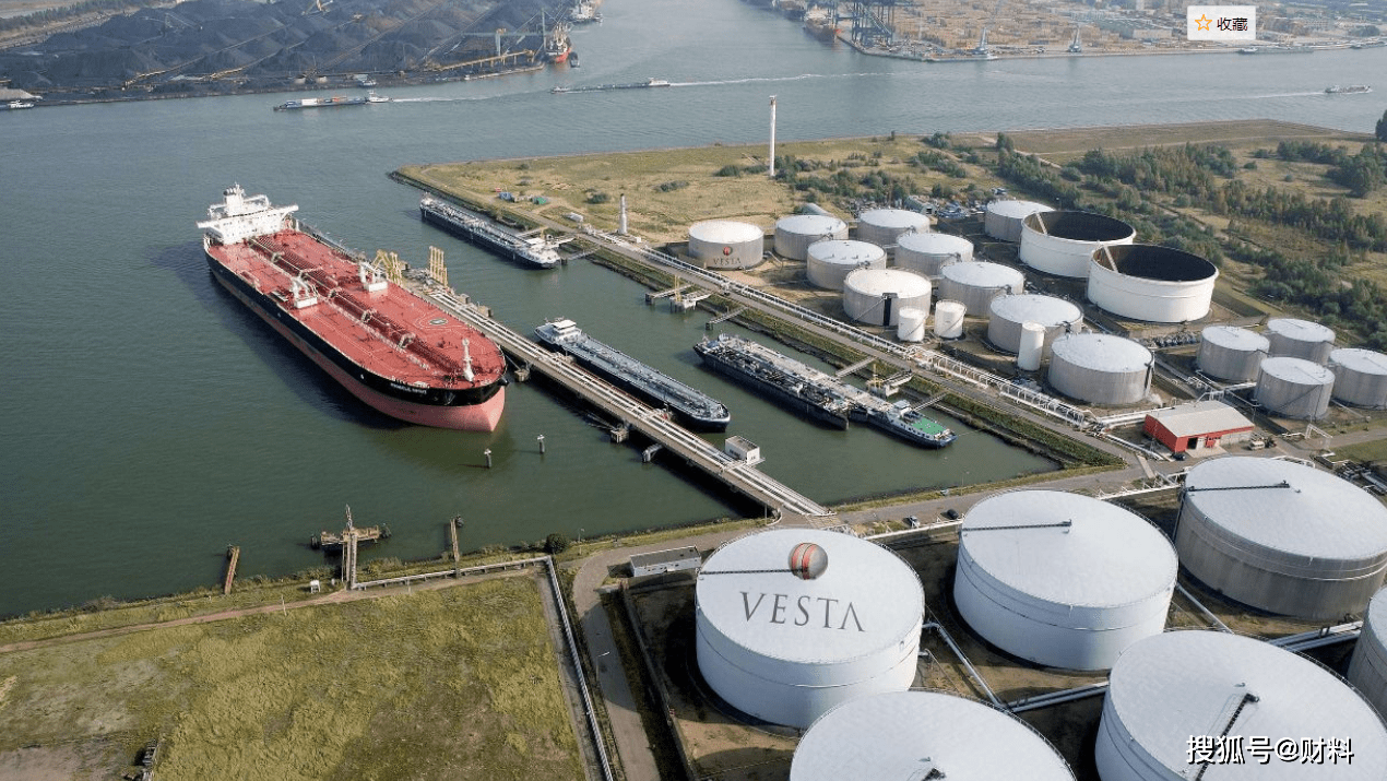 最新油沙豆市場價格探秘,綠色之旅尋求內心平靜之道