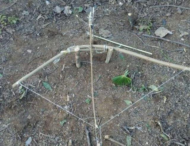 叢林大作戰最新版本攻略，任務完成與技能學習指南（初學者的進階之路）