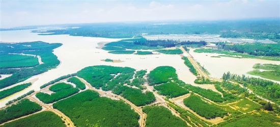 臨高縣新盈鎮,最新新聞與日常趣事,友情、家庭與溫馨時光的記錄