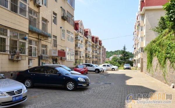 寧國房屋出租最新動態更新，最新房源信息速遞