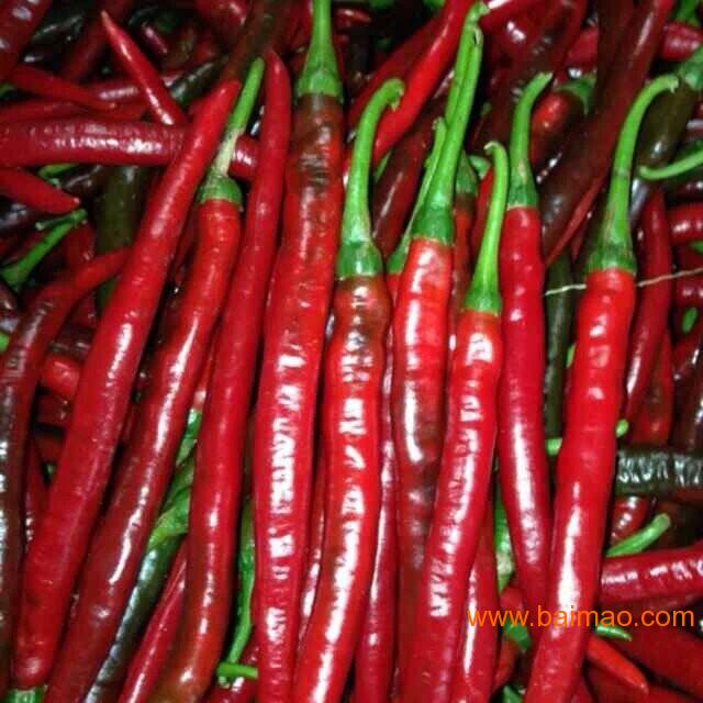 線椒批發價格最新行情揭秘,如何影響我們的日常生活故事