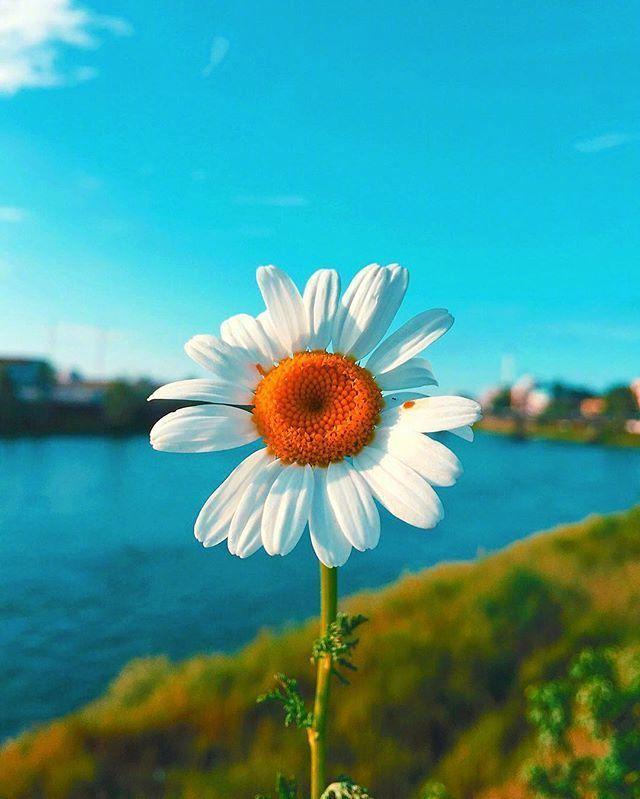 2025最新版人生感悟心情短語,說說心情,領略生活之美