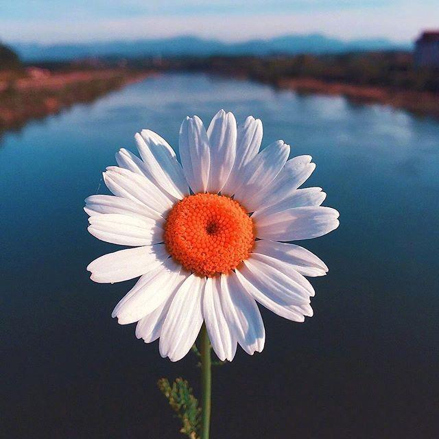 2025最新版人生感悟心情短語,說說心情,領略生活之美