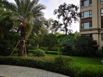 金河谷第五期最新價格揭秘，性價比與價值潛力深度剖析